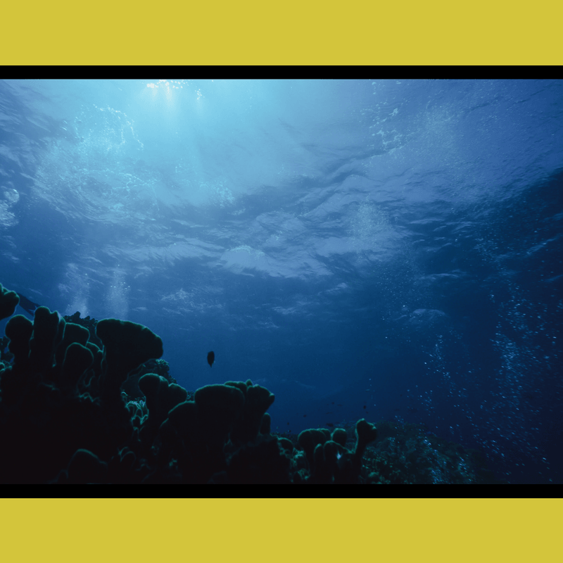 Hawaii Sunscreen Ban Signed Into Law - HELIADES UPF Street Clothing