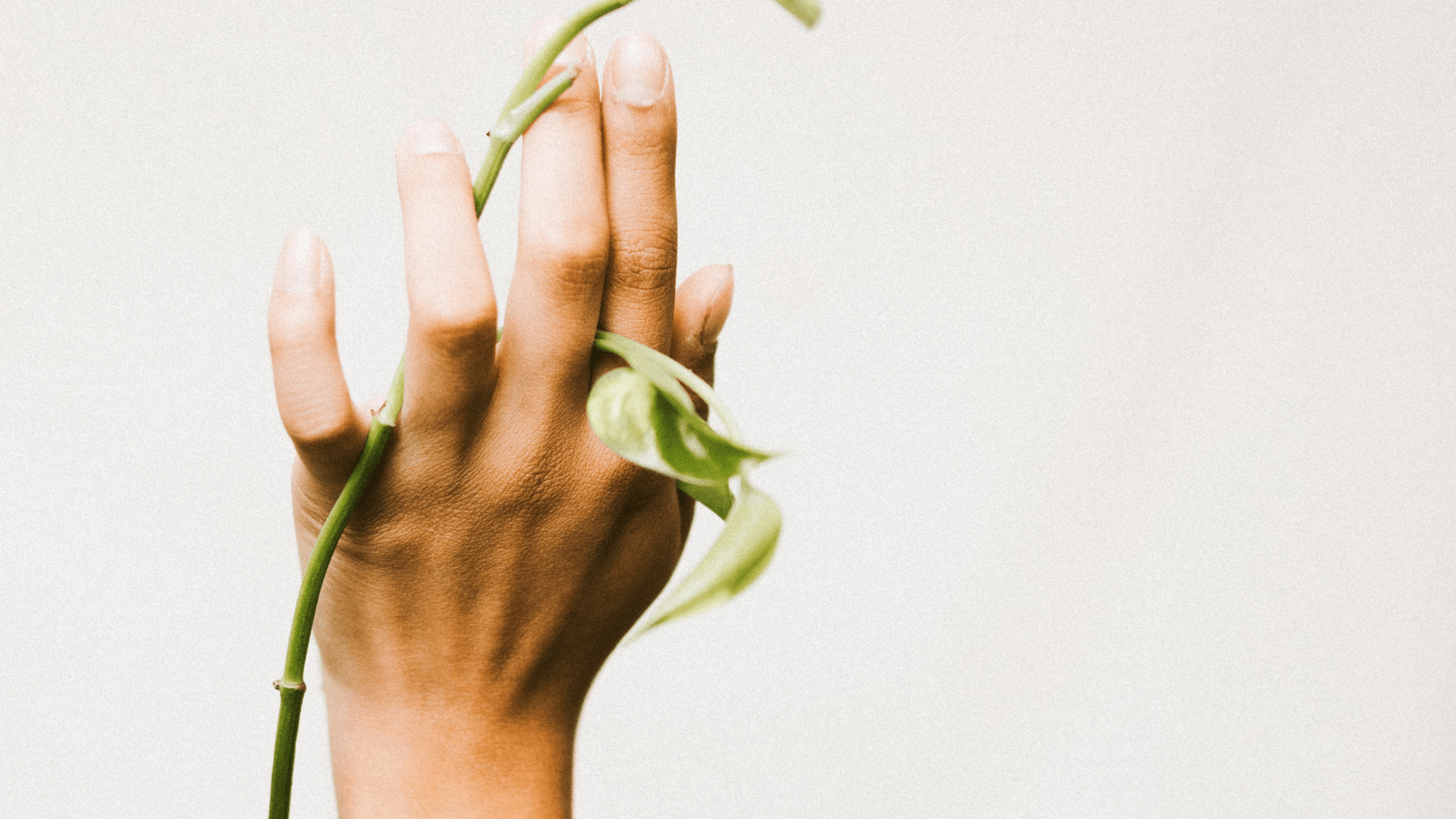 What's the best anti aging hand treatment? - HELIADES UPF Street Clothing